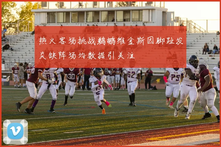 热火客场挑战鹈鹕维金斯因脚趾发炎缺阵场均数据引关注