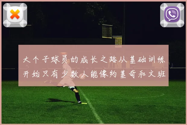大个子球员的成长之路从基础训练开始只有少数人能像约基奇和文班那样成功