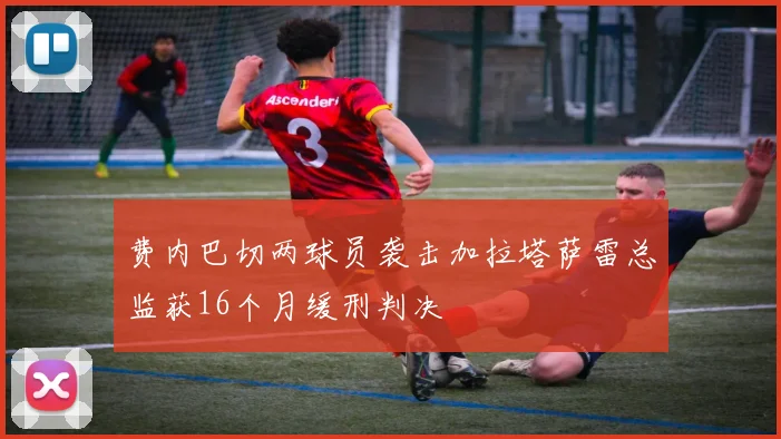 费内巴切两球员袭击加拉塔萨雷总监获16个月缓刑判决