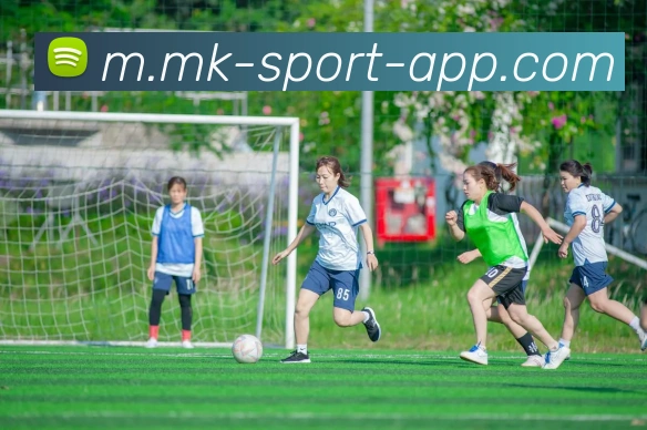 MK体育全站App